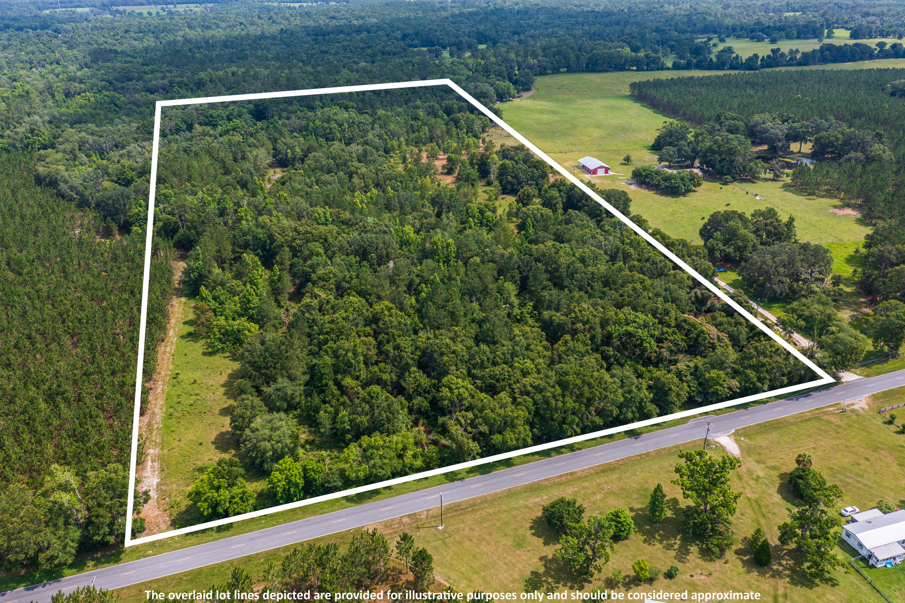 252 County Road 252 Wellborn, FL 32094 - Photo 44 of 75 Land in McAlpin FL (43 of 78)