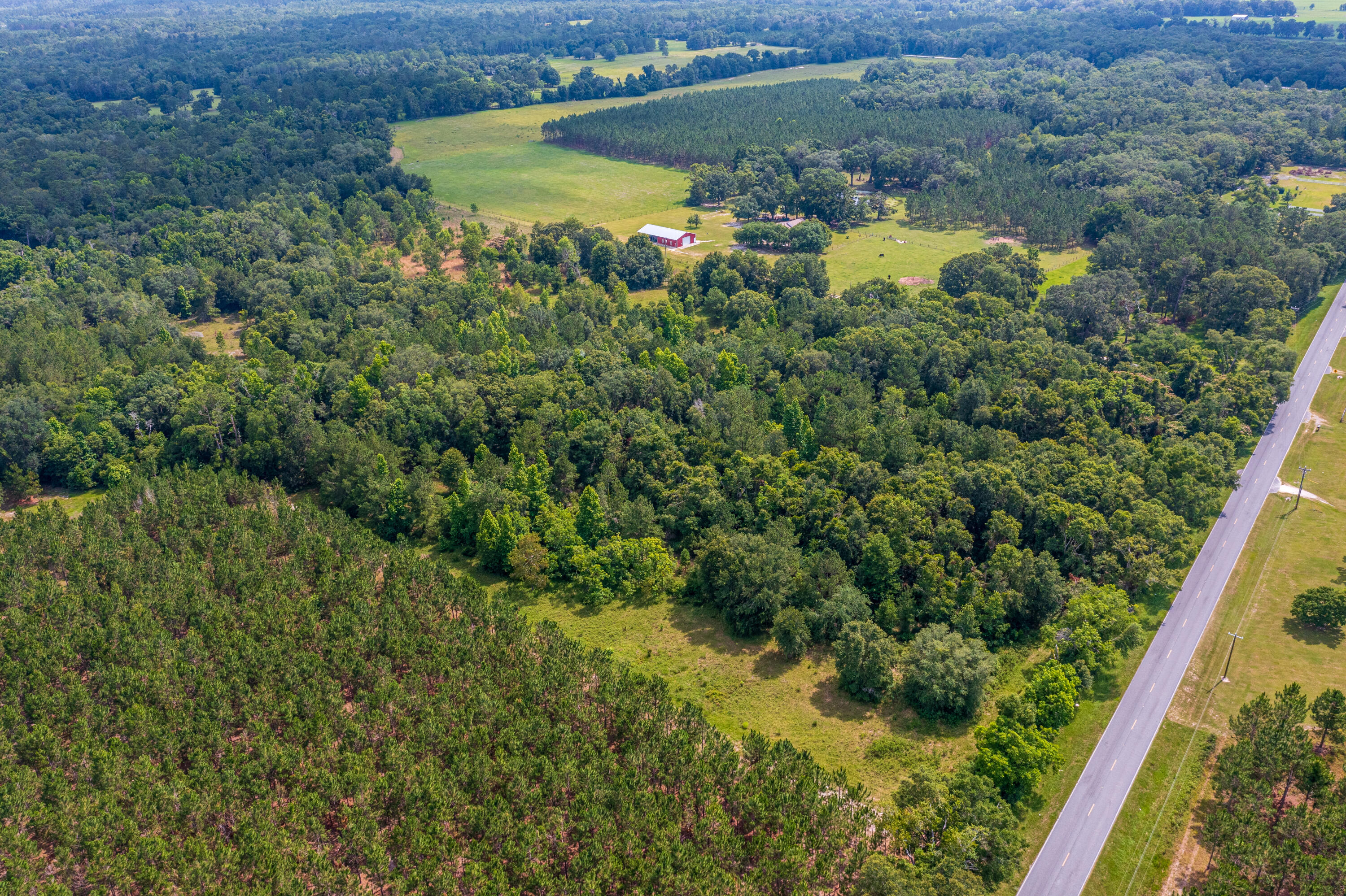 252 County Road 252 Wellborn, FL 32094 - Photo 46 of 75 Land in McAlpin FL (45 of 78)