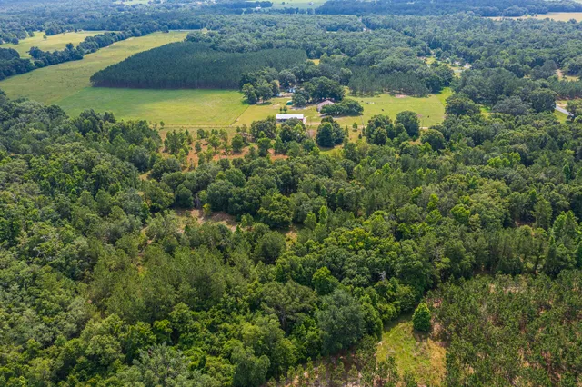 $335,000 | 252 County Road 252, Wellborn, FL 32094