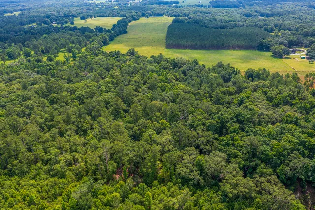 $335,000 | 252 County Road 252, Wellborn, FL 32094