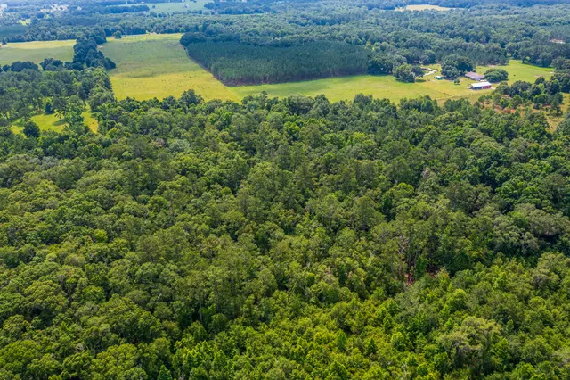 $335,000 | 252 County Road 252, Wellborn, FL 32094