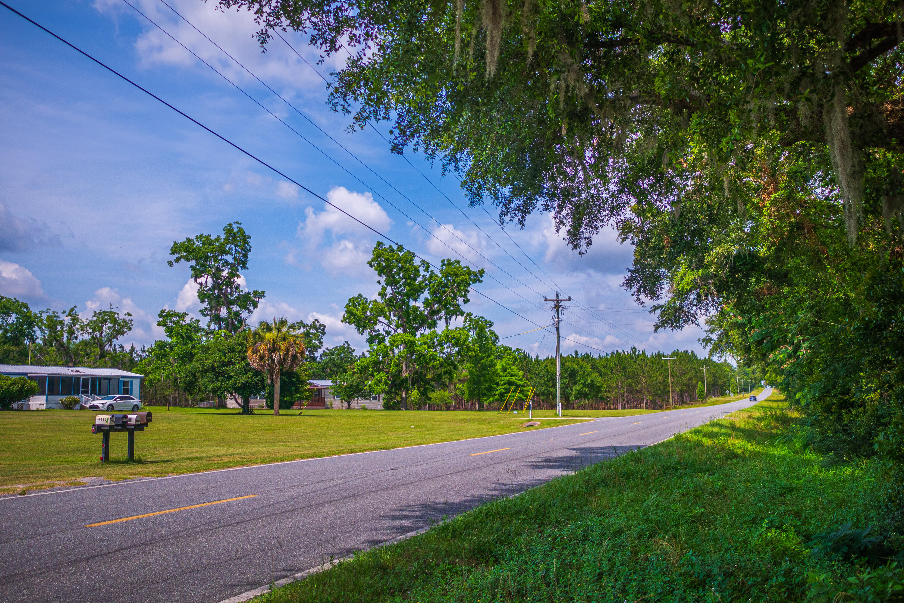 252 County Road 252 Wellborn, FL 32094 - Photo 5 of 75 Land in McAlpin FL (3 of 78)