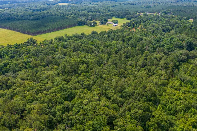 $335,000 | 252 County Road 252, Wellborn, FL 32094