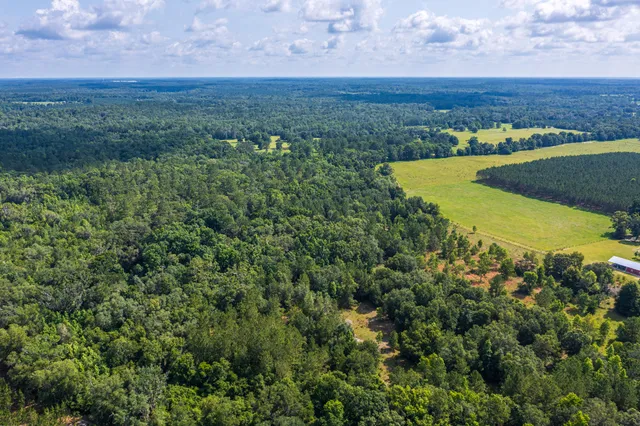 $335,000 | 252 County Road 252, Wellborn, FL 32094