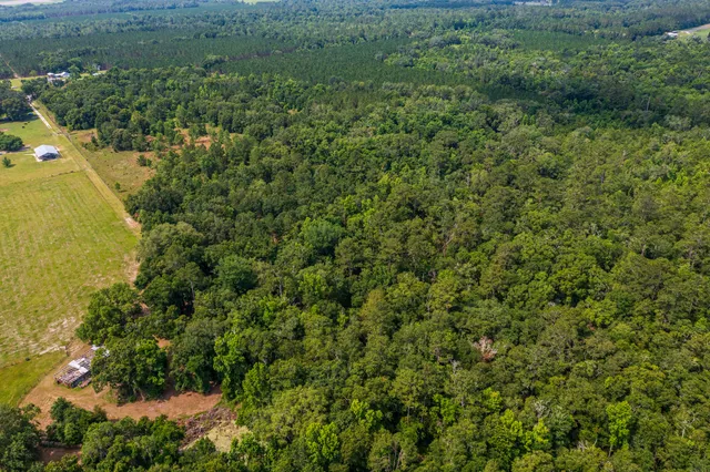 $335,000 | 252 County Road 252, Wellborn, FL 32094