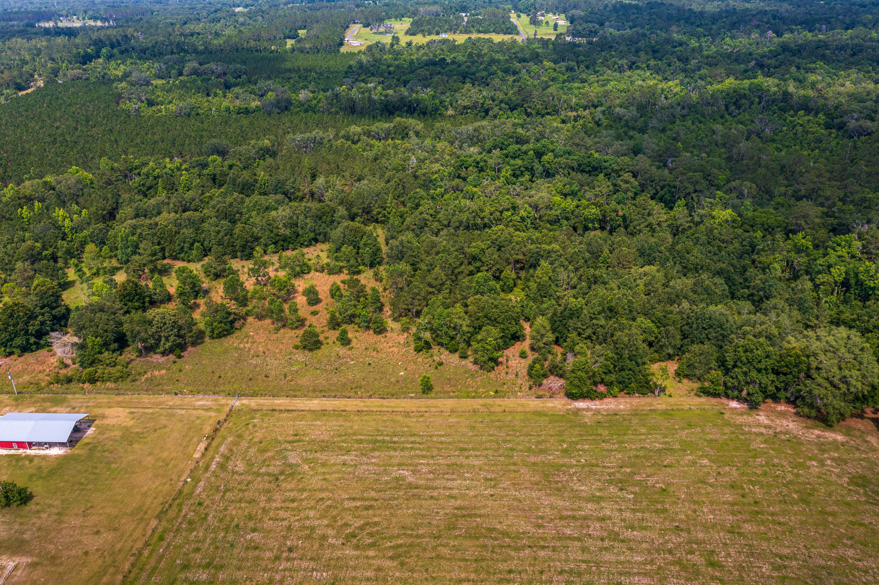 252 County Road 252 Wellborn, FL 32094 - Photo 55 of 75 Land in McAlpin FL (55 of 78)