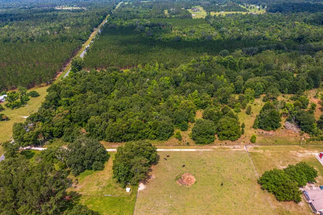 $335,000 | 252 County Road 252, Wellborn, FL 32094