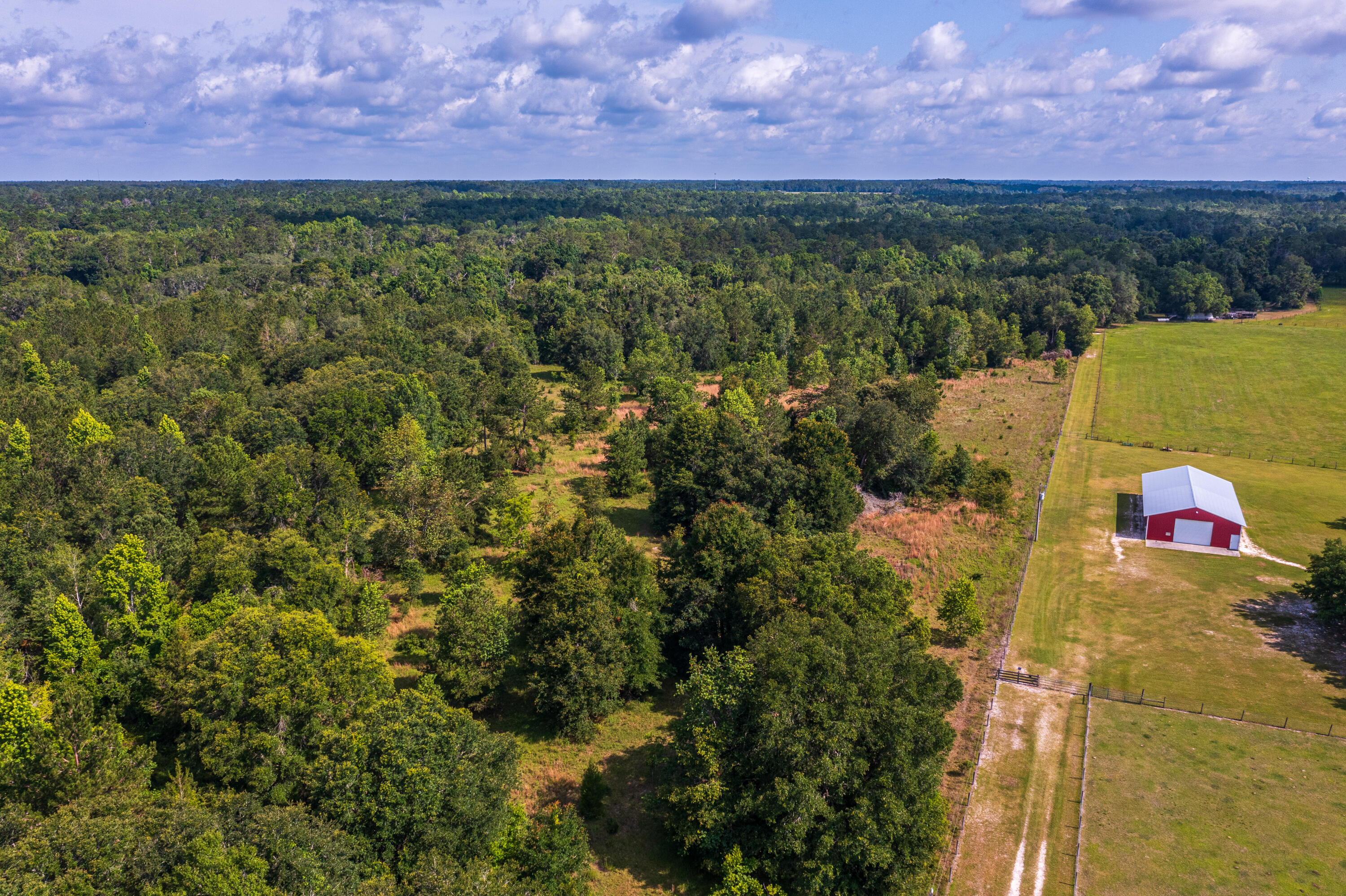 252 County Road 252 Wellborn, FL 32094 - Photo 60 of 75 Land in McAlpin FL (60 of 78)