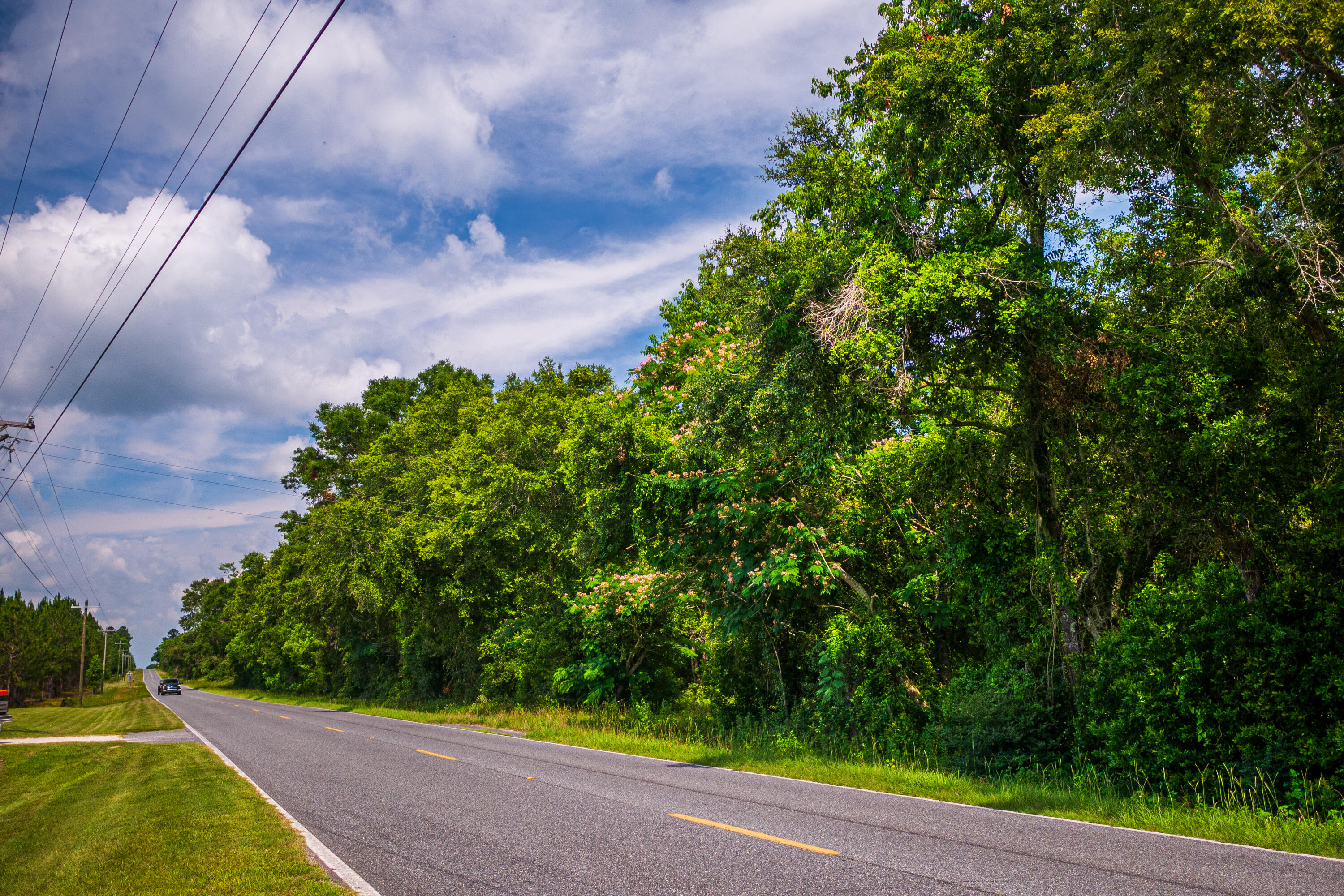 252 County Road 252 Wellborn, FL 32094 - Photo 6 of 75 Land in McAlpin FL (4 of 78)
