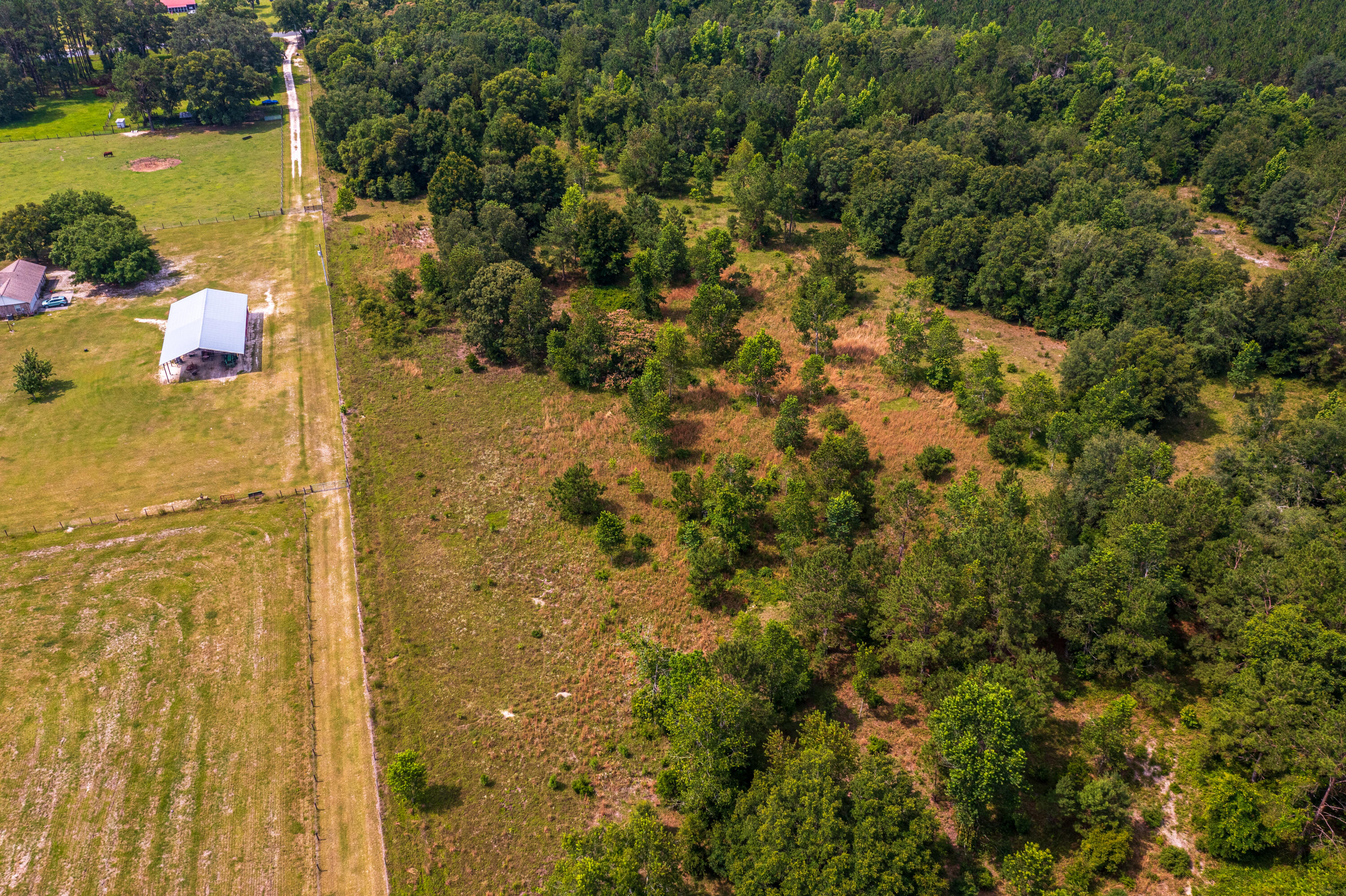 252 County Road 252 Wellborn, FL 32094 - Photo 63 of 75 Land in McAlpin FL (63 of 78)