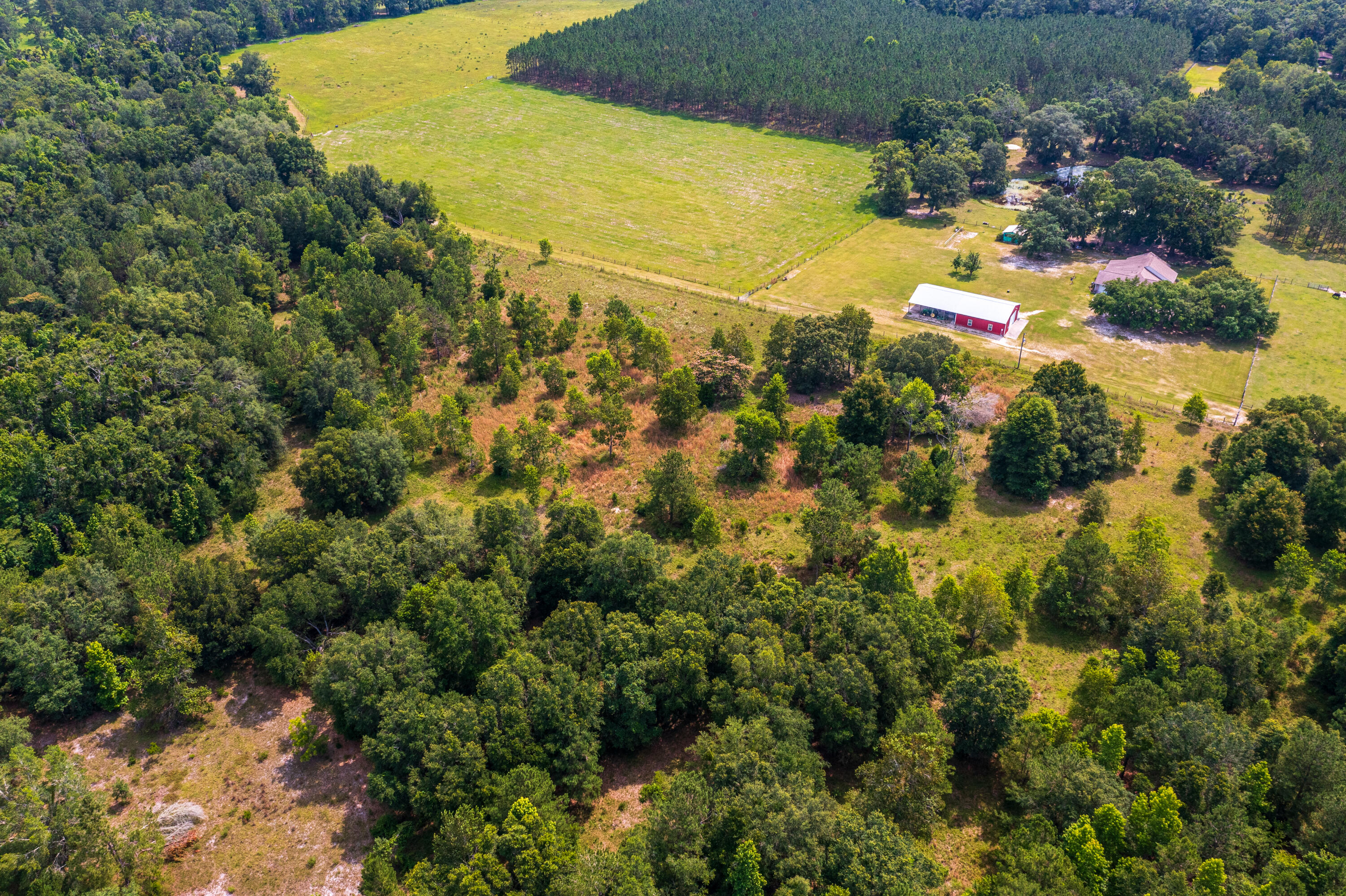 252 County Road 252 Wellborn, FL 32094 - Photo 65 of 75 Land in McAlpin FL (65 of 78)