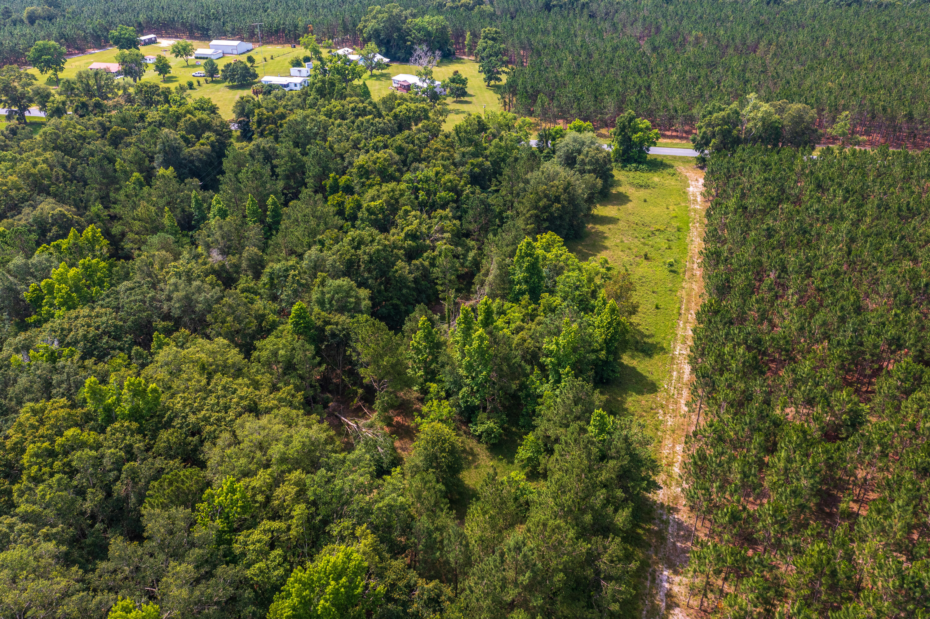 252 County Road 252 Wellborn, FL 32094 - Photo 66 of 75 Land in McAlpin FL (68 of 78)