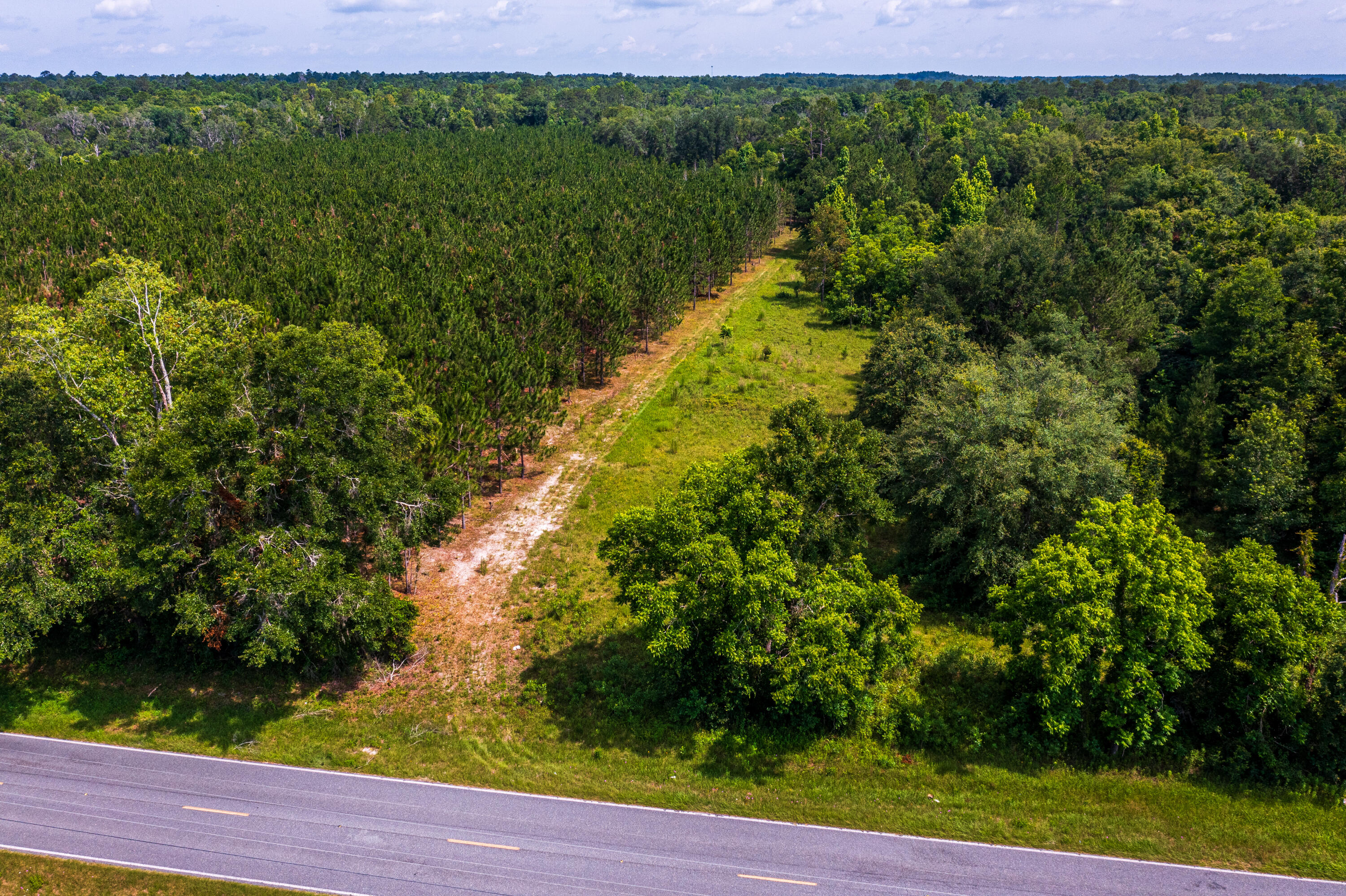 252 County Road 252 Wellborn, FL 32094 - Photo 67 of 75 Land in McAlpin FL (69 of 78)