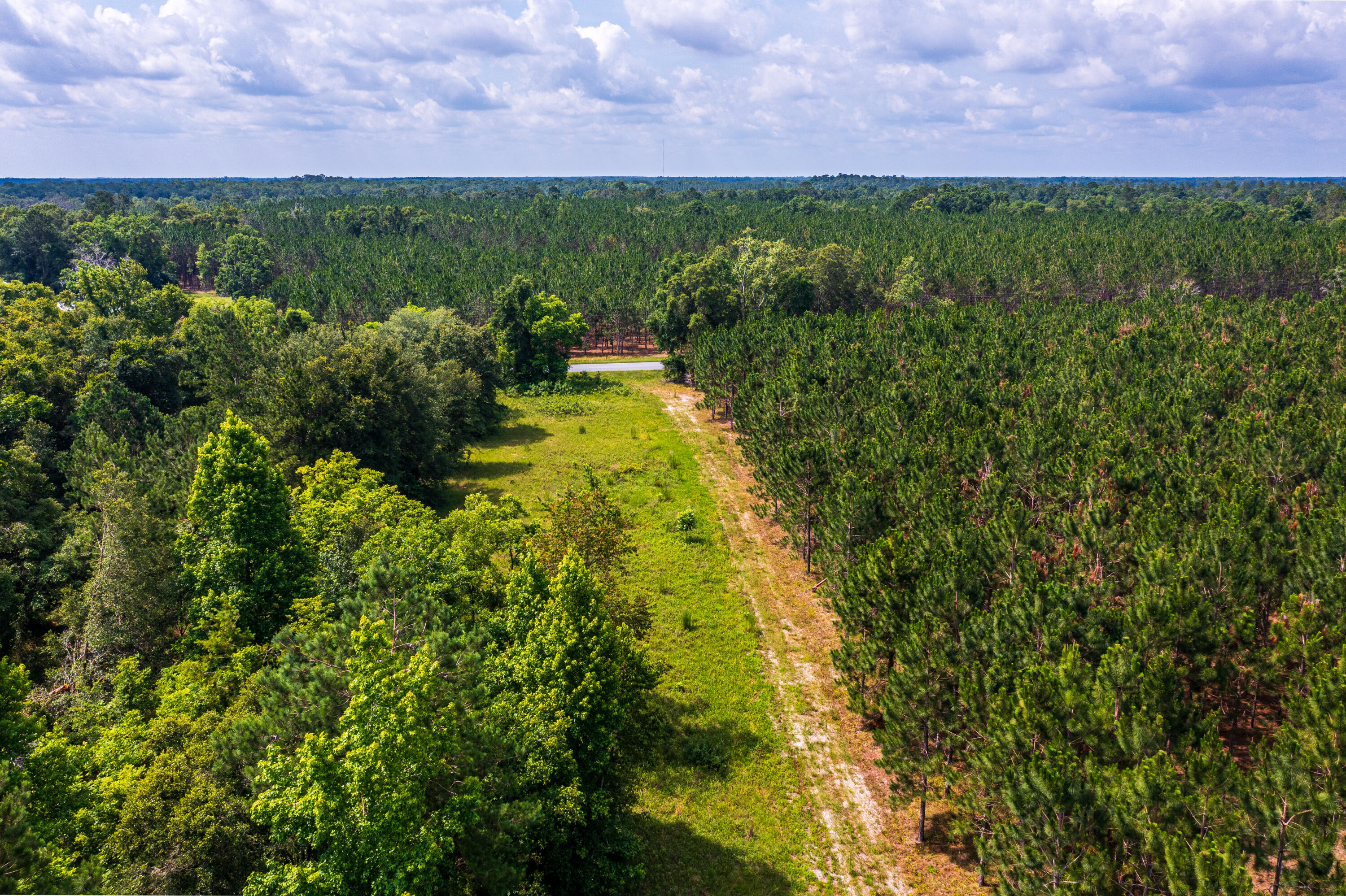 252 County Road 252 Wellborn, FL 32094 - Photo 68 of 75 Land in McAlpin FL (70 of 78)