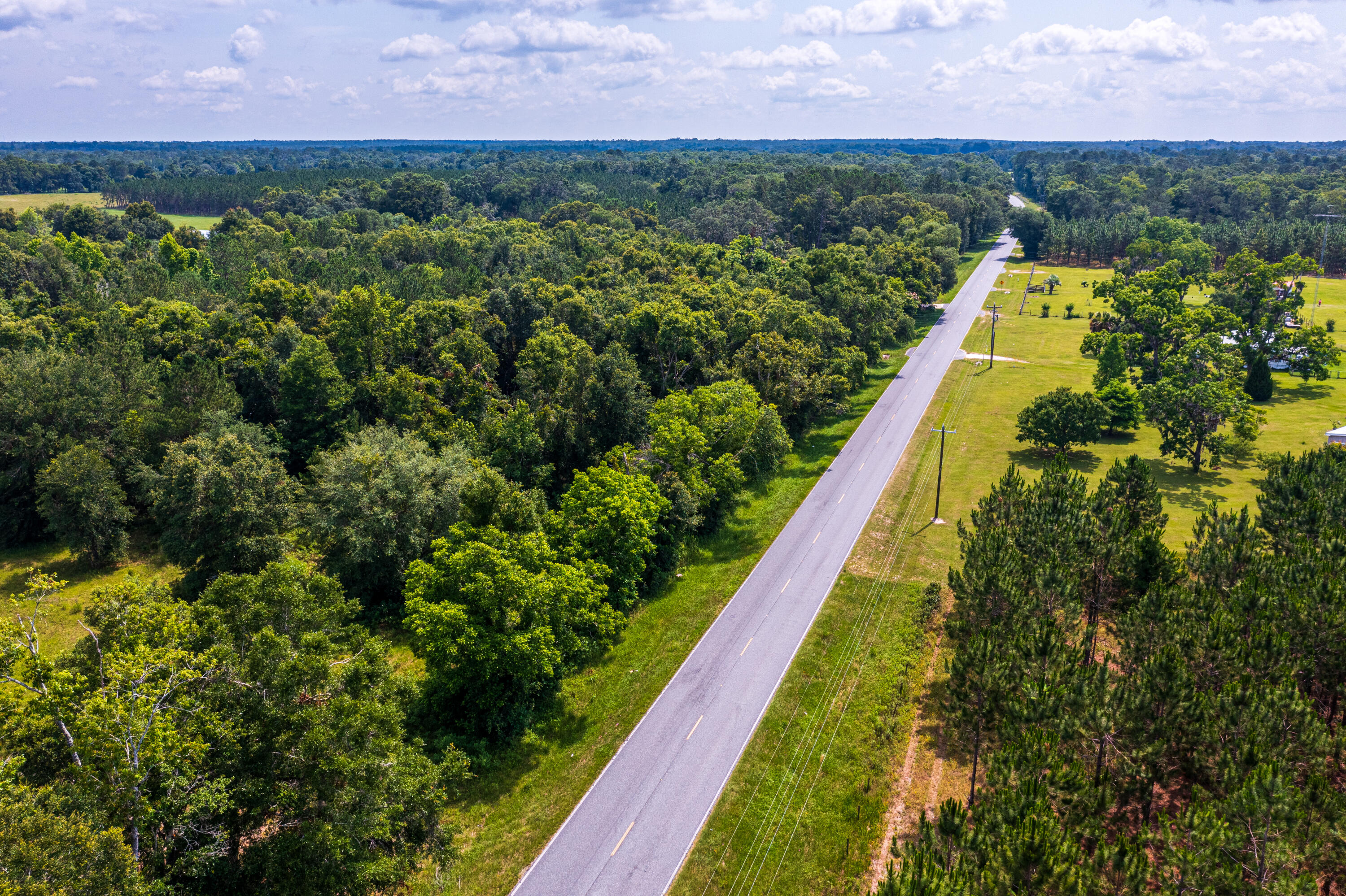252 County Road 252 Wellborn, FL 32094 - Photo 69 of 75 Land in McAlpin FL (72 of 78)
