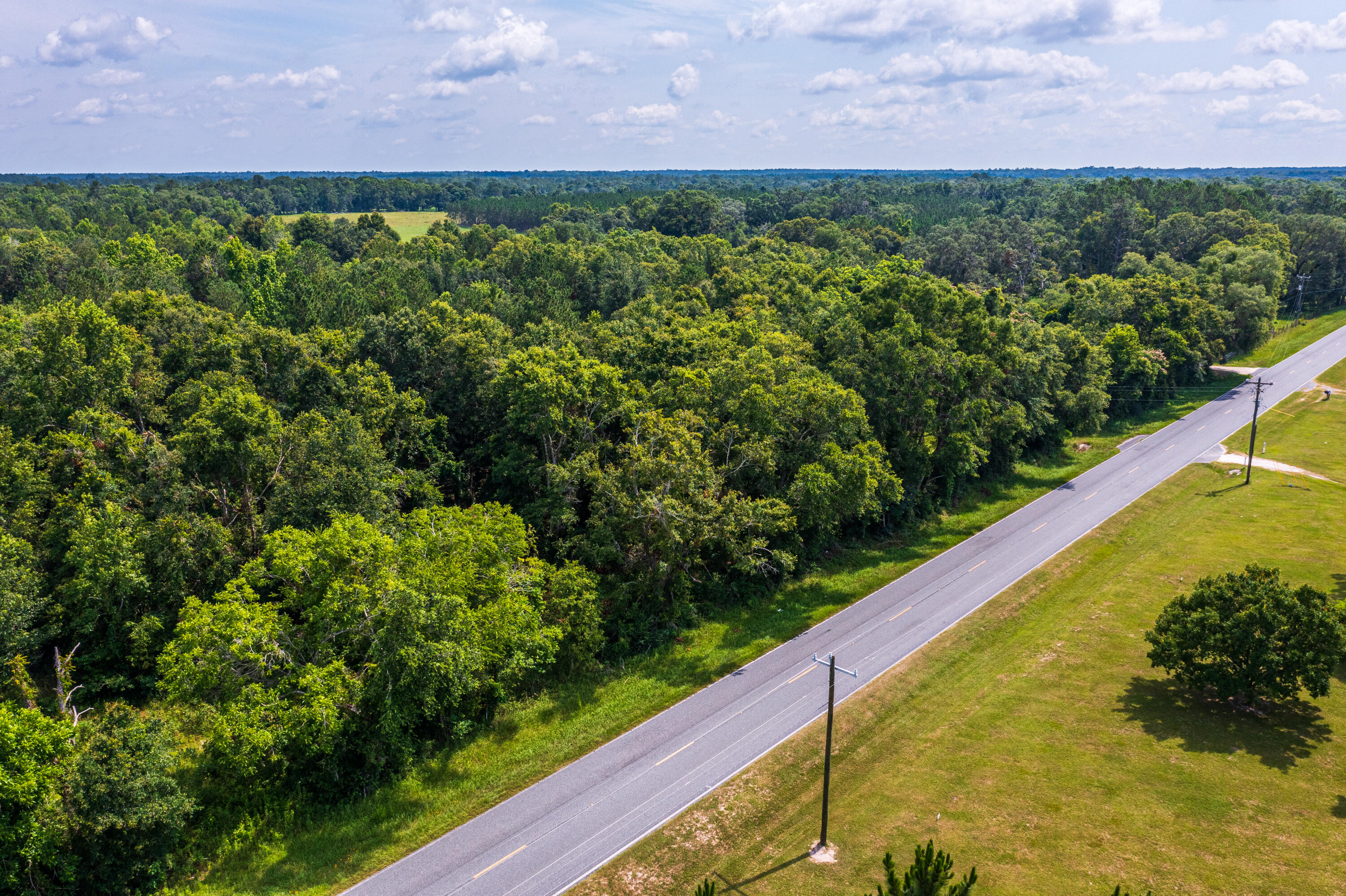 252 County Road 252 Wellborn, FL 32094 - Photo 70 of 75 Land in McAlpin FL (73 of 78)