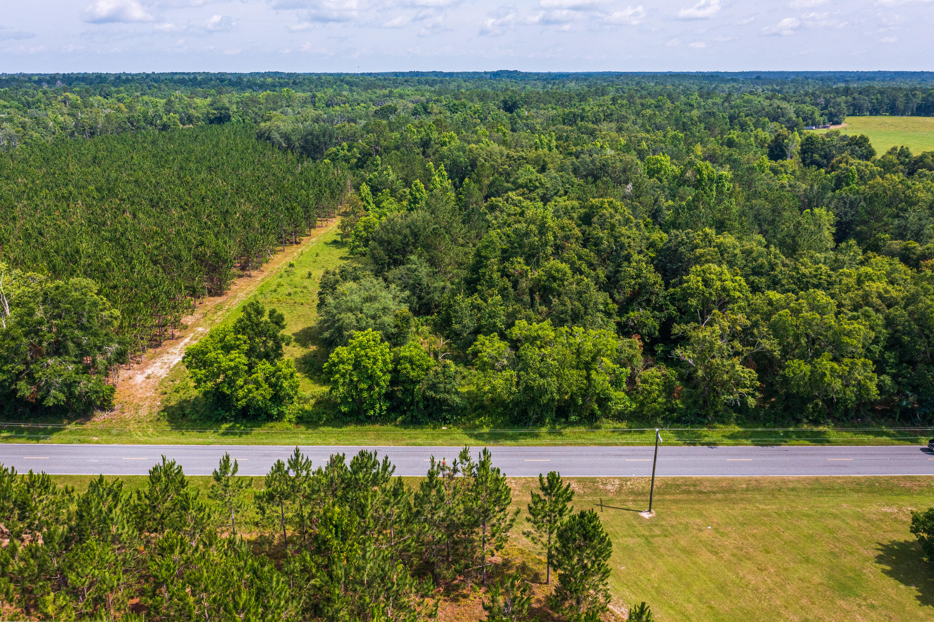 252 County Road 252 Wellborn, FL 32094 - Photo 71 of 75 Land in McAlpin FL (74 of 78)