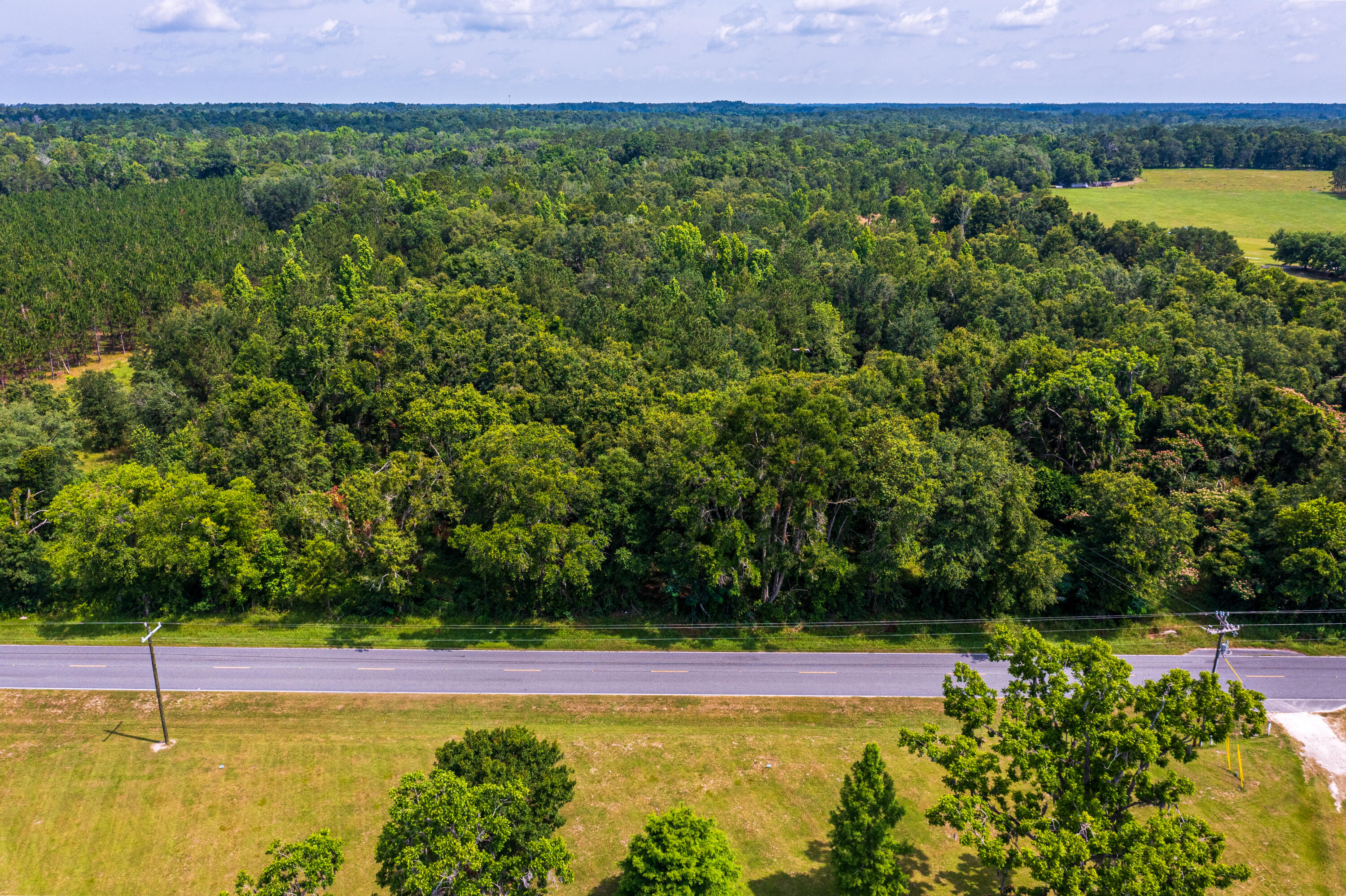 252 County Road 252 Wellborn, FL 32094 - Photo 72 of 75 Land in McAlpin FL (75 of 78)
