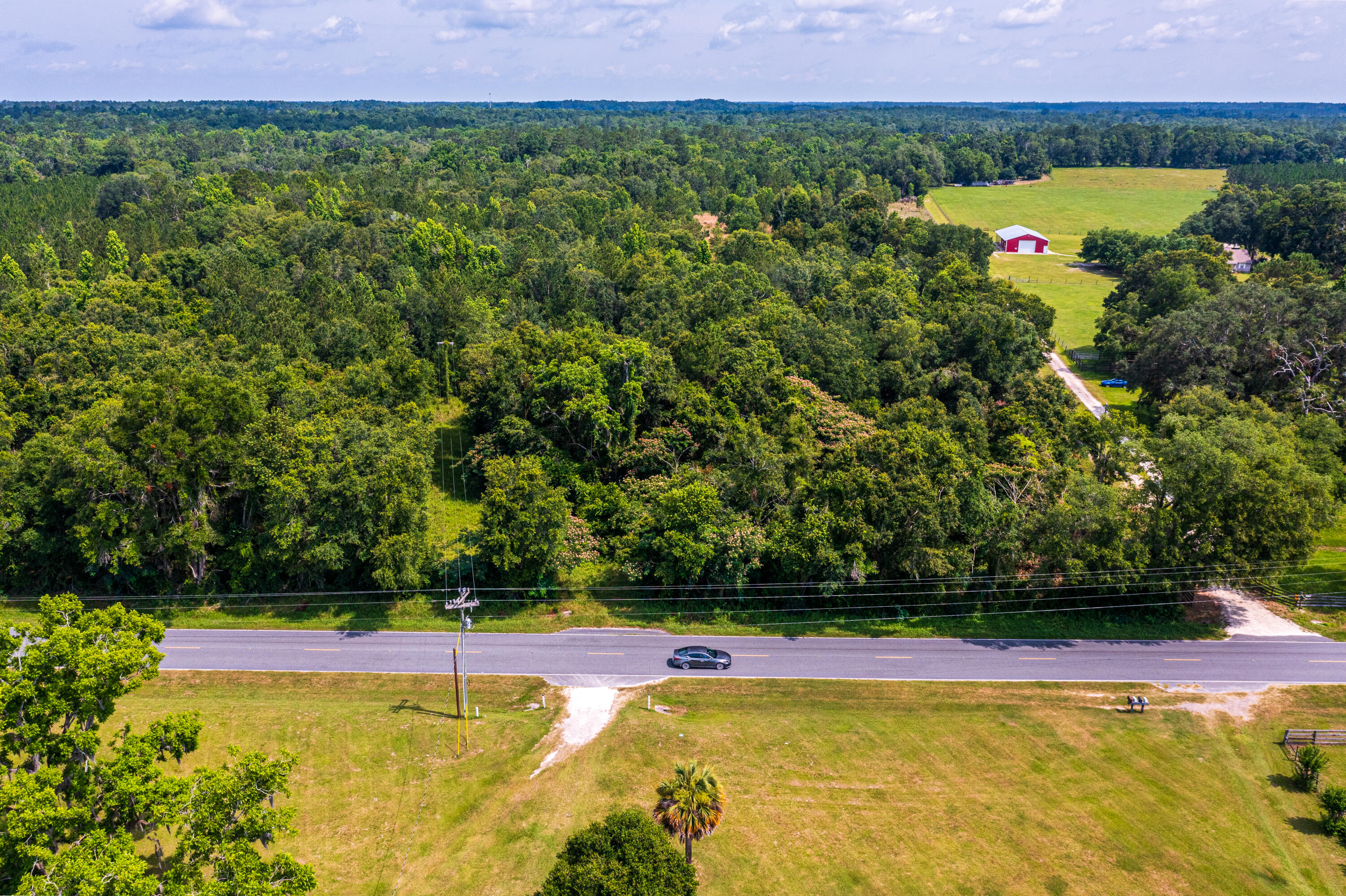 252 County Road 252 Wellborn, FL 32094 - Photo 73 of 75 Land in McAlpin FL (76 of 78)