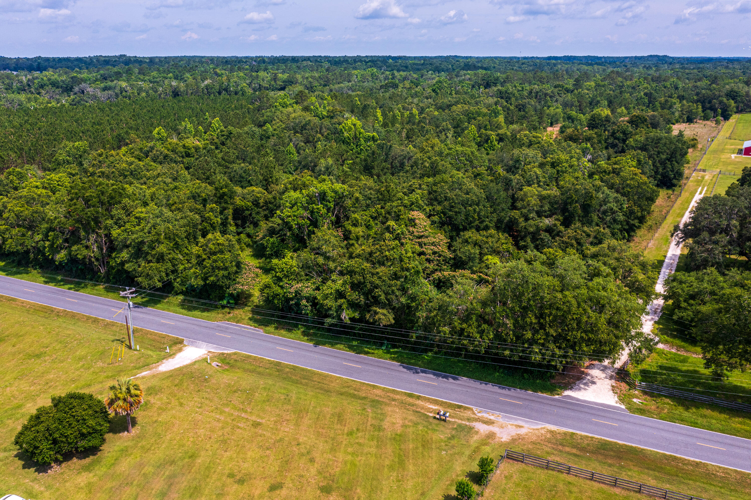 252 County Road 252 Wellborn, FL 32094 - Photo 74 of 75 Land in McAlpin FL (77 of 78)