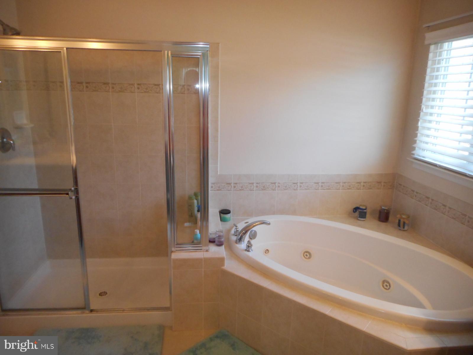 2820 Admiral Ridge Road Accokeek, MD 20607 - Photo 19 of 23 Bath (Master)