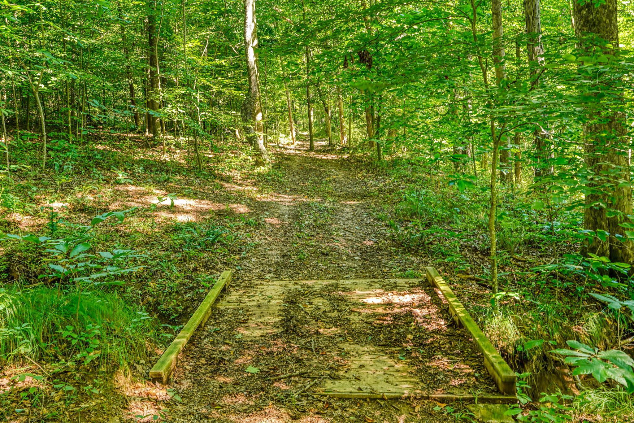 12249 Lehman Road Logan, OH 43138 - Photo 29 of 98 12249 Mowery-Lehman Rd (28)