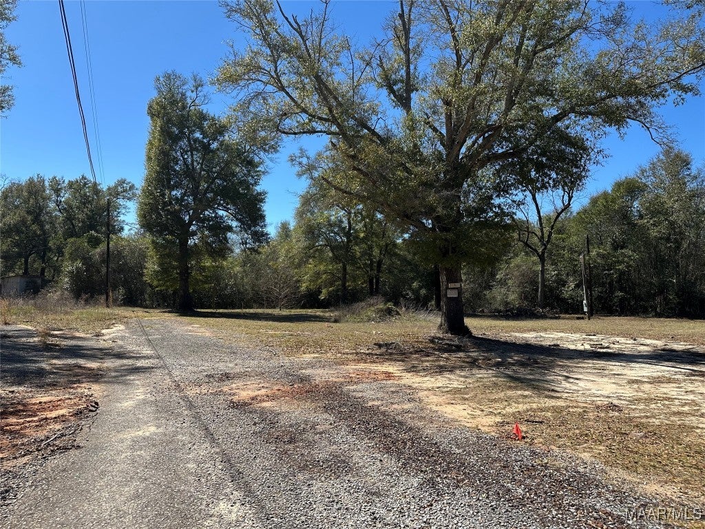 290 Balcom Road Ozark, AL 36360 - Photo 6 of 7 Gallery Image 6