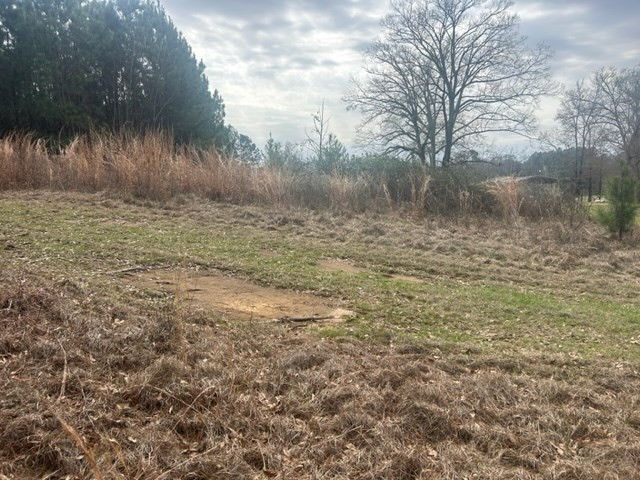 1004 Moore Street Wesson, MS 39191 - Photo 2 of 11 Photo 2
