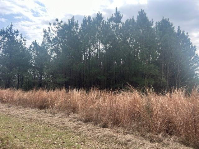 1004 Moore Street Wesson, MS 39191 - Photo 3 of 11 Photo 3