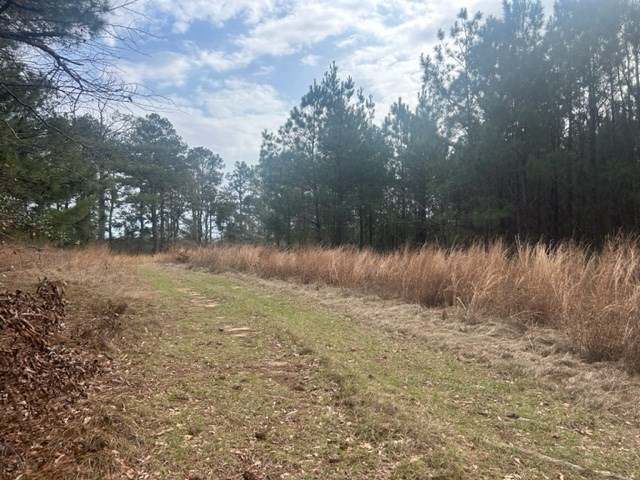 1004 Moore Street Wesson, MS 39191 - Photo 4 of 11 Photo 4