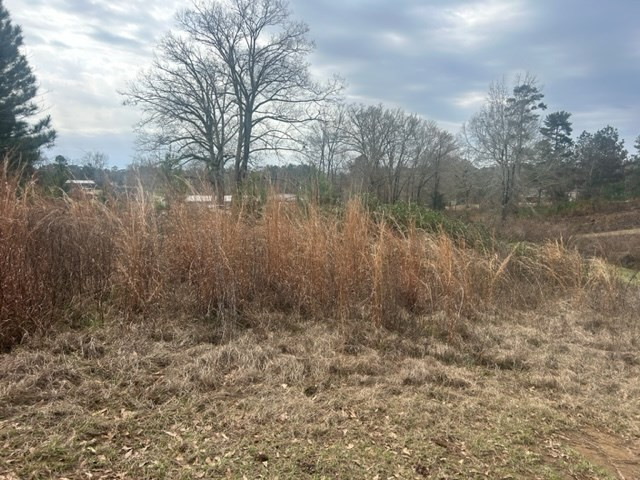 1004 Moore Street Wesson, MS 39191 - Photo 5 of 11 Photo 5