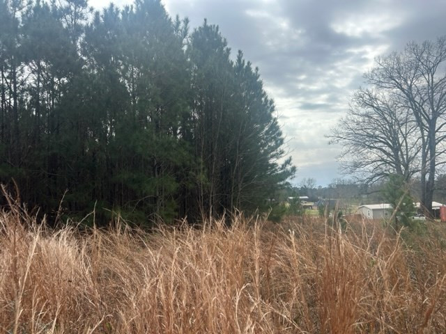 1004 Moore Street Wesson, MS 39191 - Photo 6 of 11 Photo 6