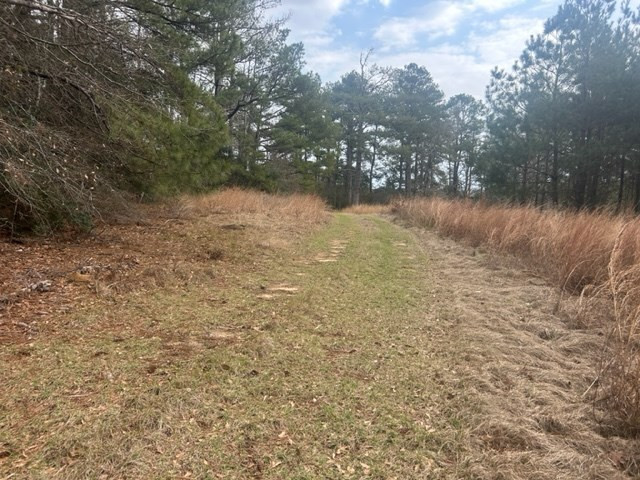 1004 Moore Street Wesson, MS 39191 - Photo 8 of 11 Photo 8