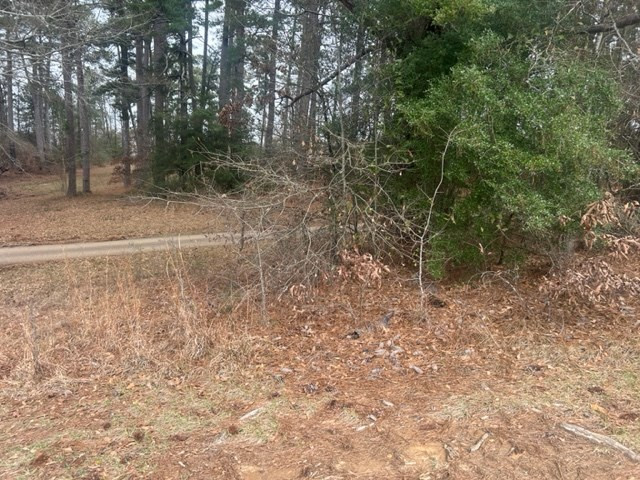 1004 Moore Street Wesson, MS 39191 - Photo 9 of 11 Photo 9