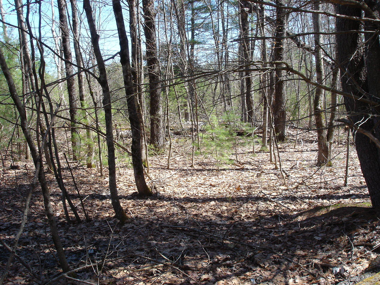 0 Sand Pond Road Limington, ME 04049 - Photo 9 of 10 DSC09956