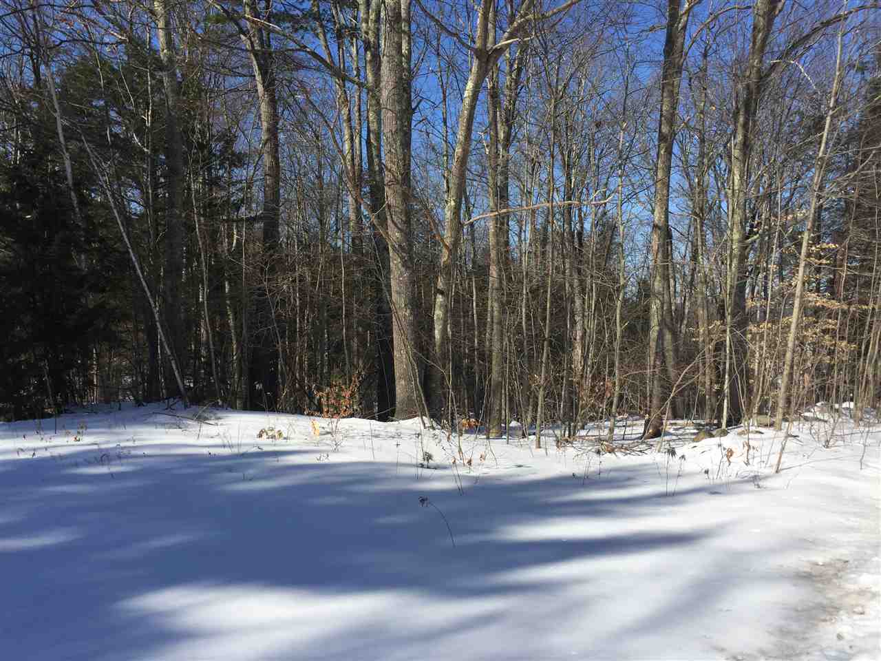 Lot 7-13 Quail Ridge Road Pittsfield, NH 03263 - Photo 1 of 7