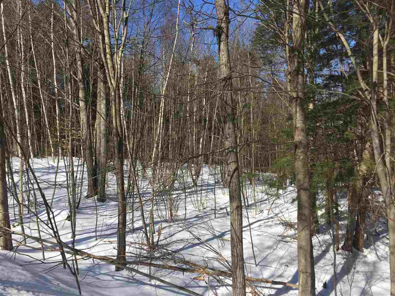 Lot 7-13 Quail Ridge Road Pittsfield, NH 03263 - Photo 2 of 7