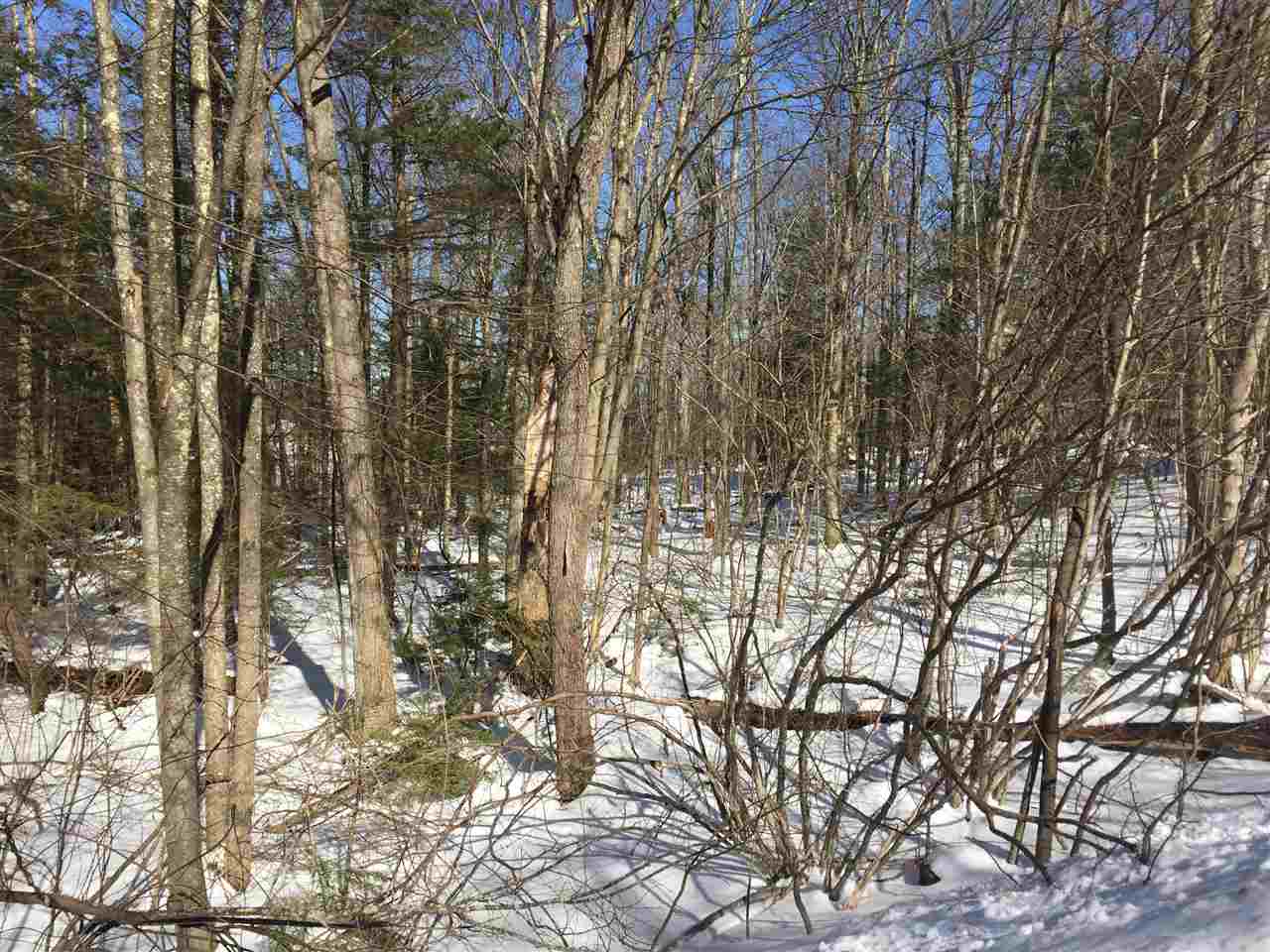 Lot 7-13 Quail Ridge Road Pittsfield, NH 03263 - Photo 3 of 7