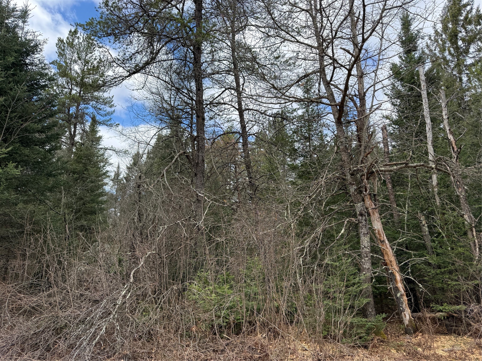 Lot 30 Maple Court Cable, WI 54821 - Photo 1 of 1