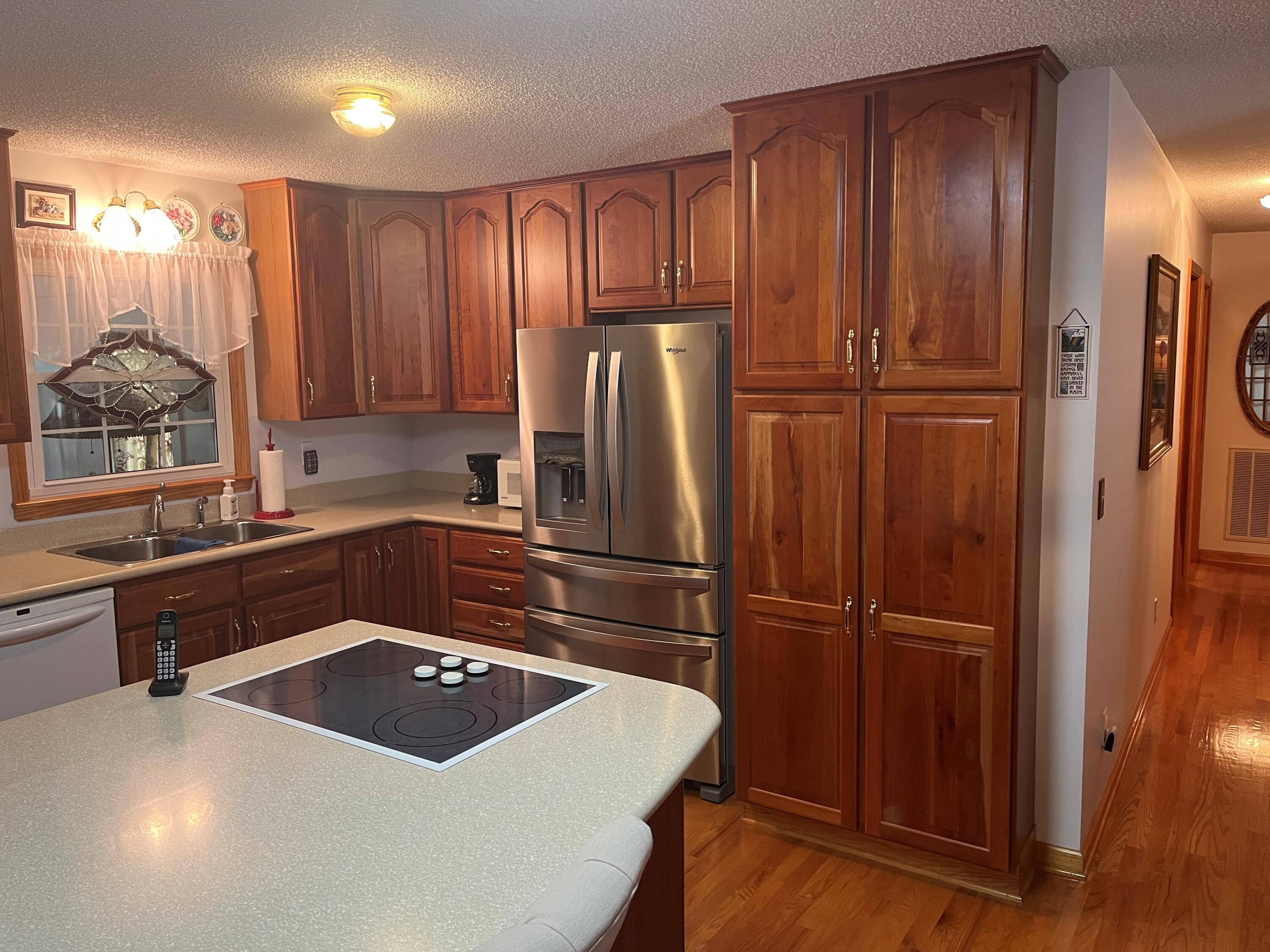 245 Long Hollow Road Elizabethton, TN 37643 - Photo 4 of 36 245 lh12