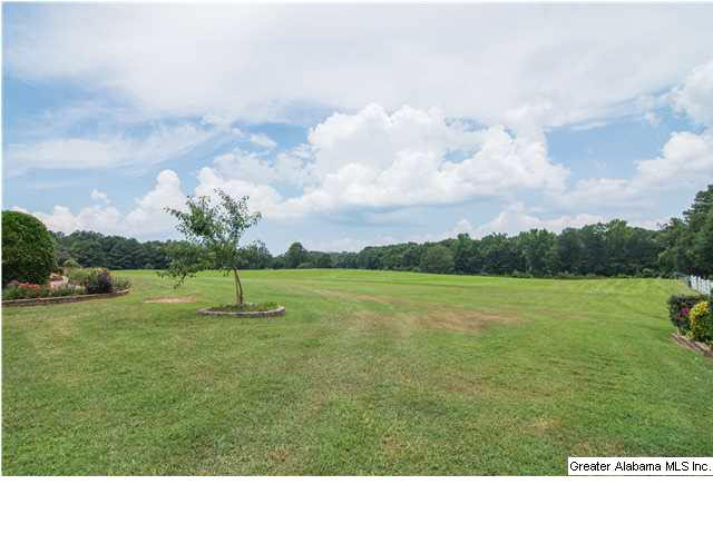 2570 Blue Springs Road Wilsonville, AL 35186 - Photo 24 of 32