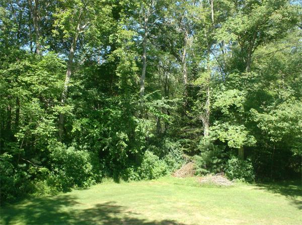63 Allen Road Easton, MA 02356 - Photo 15 of 15 a view of a yard