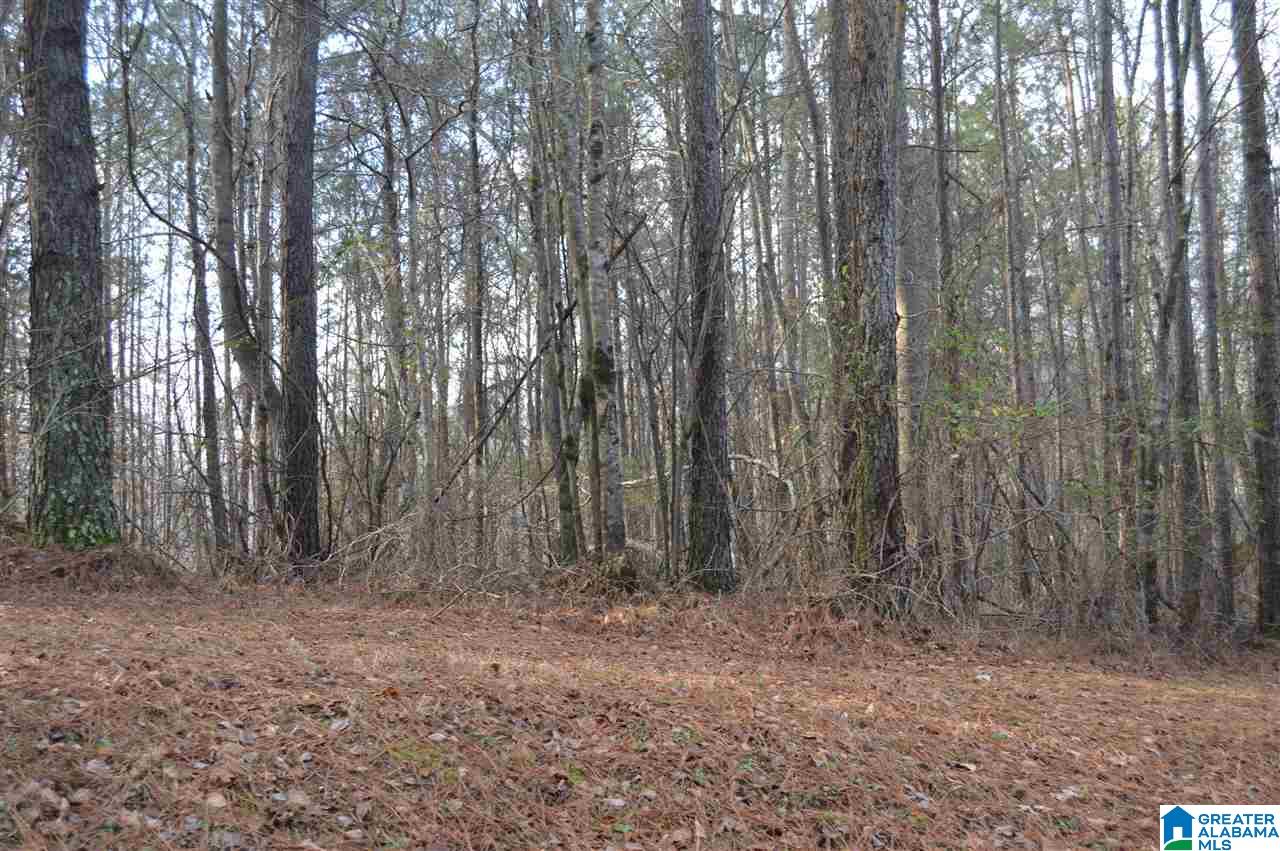 9776 Mcpherson Road, Unit 5 1 ACRES Warrior, AL 35180 - Photo 5 of 16 Gallery Image 5