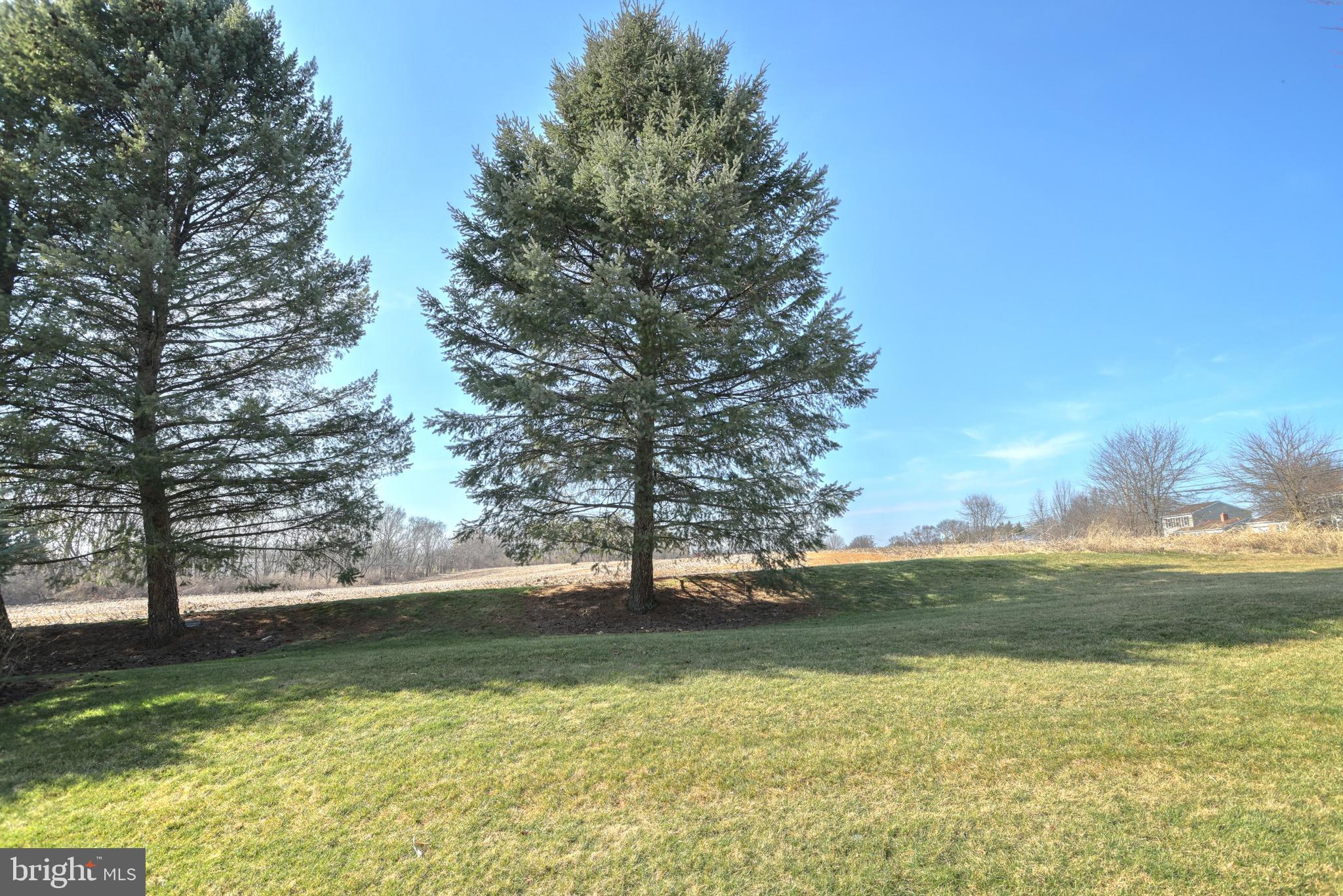 32 Cardiff Court Lititz, PA 17543 - Photo 6 of 33