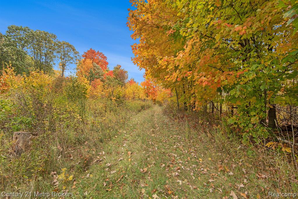 8202 Calkins Road Flint, MI 48532 - Photo 7 of 16