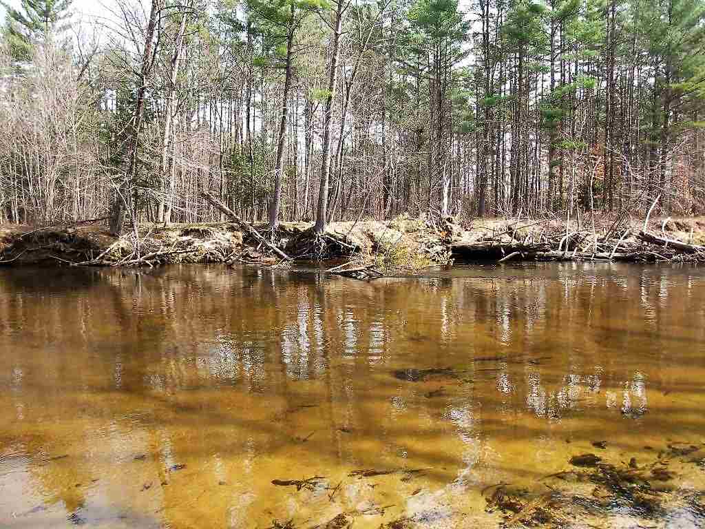 62 Newman Drew Road Ossipee, NH 03890 - Photo 10 of 35 Gallery Image 10