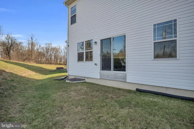 a view of a backyard with potted plants and large tree