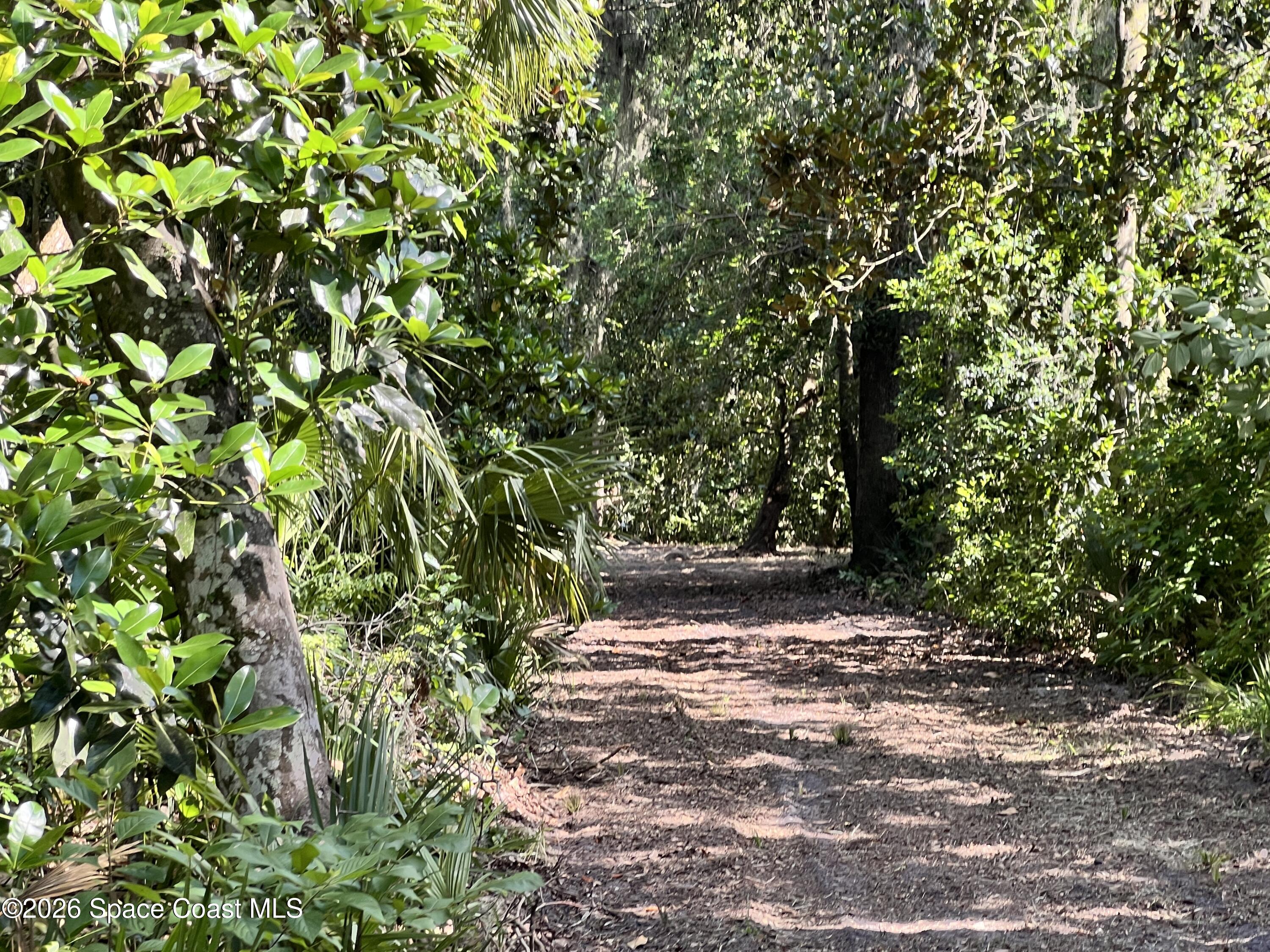 0 Carter Road Mims, FL 32754 - Photo 10 of 25 IMG_5381