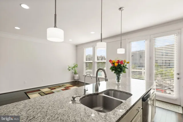 a kitchen with a sink potted plant and a large window
