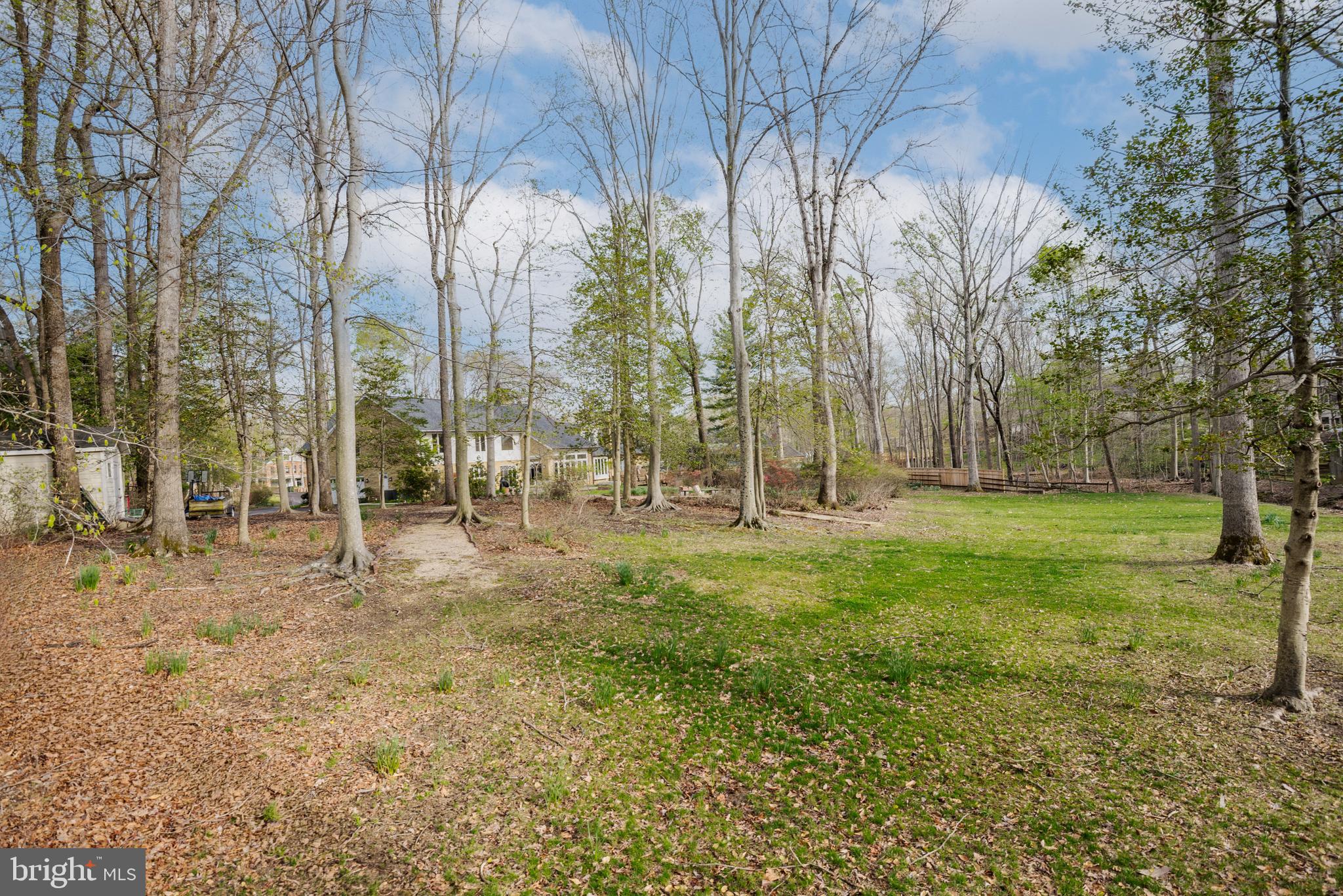 10100 Iron Gate Road Potomac, MD 20854 - Photo 13 of 16 a view of yard with green space